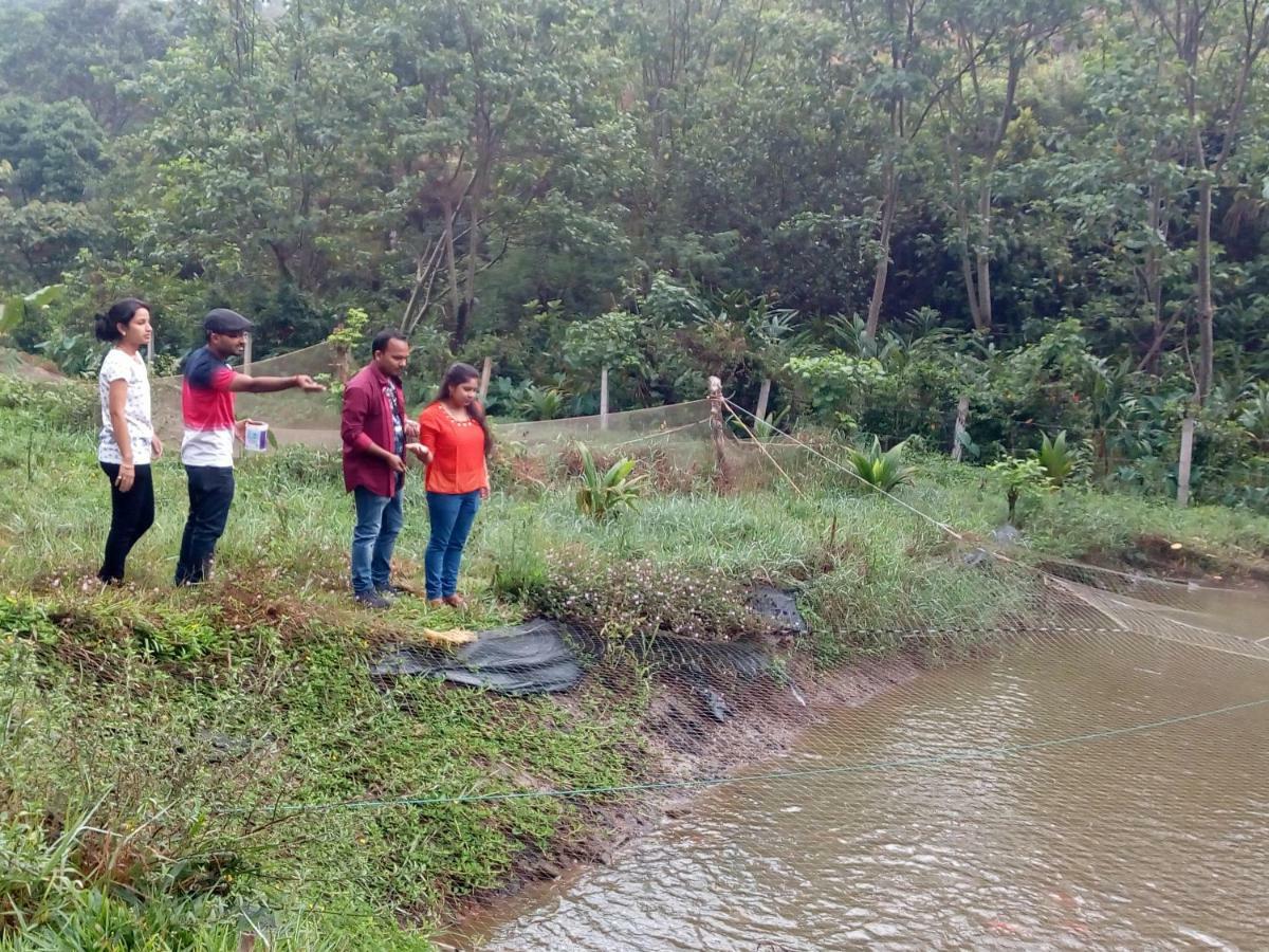 Friends Valley Home Stay Kattappana Exterior photo